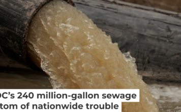 A pipe carries water and raw sewage into the C&O Canal, parallel to the Potomac River. Chip Somodevilla/Getty Images